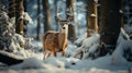 A Snowy Horned Fallow Deer Buck in the Wintery Wilderness. Generative AI