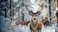 A Horned Fallow Deer Buck in the Wintery Wilderness. Generative AI