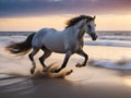 Majestic Horse Galloping Along the Baltic Sea Shore at Dusk