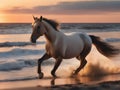 Majestic Horse. Galloping along the Serene Baltic Sea Shore