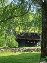 a horse standing in the grass near a cabin in the woods