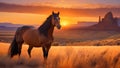 Majestic horse at sunset in desert