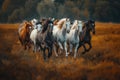 Majestic Horses Roaming the Wilderness. AI Generated