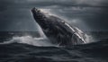 Majestic humpback whale breaches, splashing in arctic seascape generated by AI