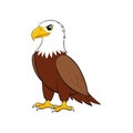 Majestic Illustration of African Fish Eagle Royalty Free Stock Photo