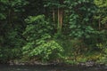 Majestic image captures the serene beauty of Tumwater Falls Park in Olympia, WA