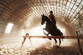 Majestic image of horse horse silhouette with rider on sunset background. The girl jockey on the back of a stallion Royalty Free Stock Photo