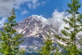 Majestic and Imposing Summit of Mt. Rainier Draped in Clouds