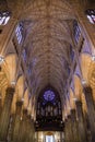 The Majestic Interior of St. Patrick\'s Cathedral - Manhattan, New York City Royalty Free Stock Photo