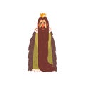 Majestic king character with long beard cartoon vector Illustration on a white background Royalty Free Stock Photo