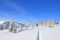 Majestic landscape in the cold winter morning. The wide trail. Christmas forest. Wallpaper background. Location place the