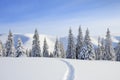 Majestic landscape in the cold winter morning. The wide trail. Christmas forest. Wallpaper background. Royalty Free Stock Photo