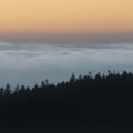 Majestic landscape image of cloud inversion at sunset over Dartmoor National Park in Engand with cloud rolling through forest on