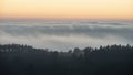 Majestic landscape image of cloud inversion at sunset over Dartmoor National Park in Engand with cloud rolling through forest on