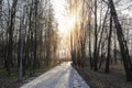 Majestic landscape with morning rays of sun autumn winter trees in dark park