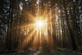 Majestic landscape with morning rays of sun autumn winter trees