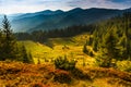 Majestic landscape of summer mountains. A view of the misty slopes of the mountains in the distance.