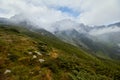 Majestic landscape of summer mountains. View of rocky peaks and coniferous forest hills in fog. Fagaras Mountains. Romania.