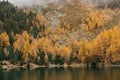 Majestic landscape view with a calm reflective mountain lake and a dense autumn tree foliage Royalty Free Stock Photo