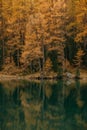 Majestic landscape view with a calm reflective mountain lake and a dense autumn tree foliage Royalty Free Stock Photo