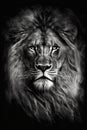 Majestic lion , artistic graphic design, portrait. Generative Ai