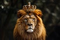 majestic lion with a golden mane and a crown on his head Royalty Free Stock Photo