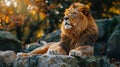 Majestic Lion Resting on Pile of Rocks
