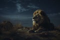 Majestic lion resting under a starry night sky in the wilderness. Royalty Free Stock Photo