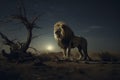 Majestic Lion Standing in Desert Twilight