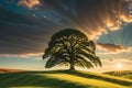 Majestic Lone Oak: Standing Proud on a Rolling Green Hill under a Dramatic Golden Hour Sky