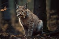 Majestic lynx cat silently sneaking through forest with its grace and beauty.