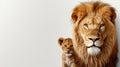 Majestic male lion and lion cub portrait with empty space on the left for text, object on the right