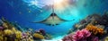 A majestic manta ray glides gracefully through the sunlit waters above a vibrant coral reef. The underwater scene is Royalty Free Stock Photo