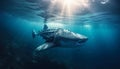 Majestic manta ray swimming in deep blue tropical reef generated by AI Royalty Free Stock Photo