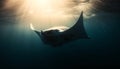 Majestic manta ray swims in tropical reef, below blue water generated by AI Royalty Free Stock Photo