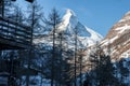 Snow covered Matterhorn mountain and trees seen from resort against sky in alps Royalty Free Stock Photo