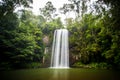 Majestic Millaa Millaa Waterfall Royalty Free Stock Photo