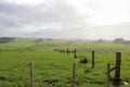 Majestic misty sunrise over rolling green hills with a fence Royalty Free Stock Photo