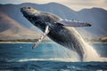 blue whale breaches the ocean\'s surface, defying gravity in a breathtaking display of power and