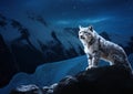 Majestic Moments: A Snow Leopard\'s Serene Stance in a Solarized