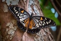 majestic monarch butterfly, with its bright orange and black wings, fluttering among the leaves of a tree