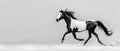 Majestic Monochrome Horse in Motion. Concept Nature Walk Photography, Scenic Landscapes, Serene Royalty Free Stock Photo