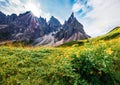 Majestic morning view of Dolomiti Alps with Cimon della Pala mountain range on background. Sunny summer scene of Rolle pass, Trent Royalty Free Stock Photo