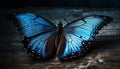 Majestic Morpho Butterfly, vibrant colors on old wood generated by AI