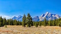 Mount Moran and Grand Teton