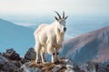 Majestic Mountain Goat Regal Alpinist