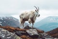 Majestic Mountain Goat Regal Alpinist