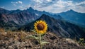 Majestic mountain peak, yellow sunflower, green meadow, blue sky generated by AI