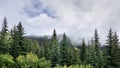 Majestic mountains and coniferous forest along the Duffey Lake Road Lillooet to Whistler, BÃÂ¡, Canada. Beautiful mountain Royalty Free Stock Photo