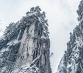 Majestic mountains in winter with white snowy spruces. Wonderful wintry landscape. Amazing view on snowcovered rock mountains. Royalty Free Stock Photo